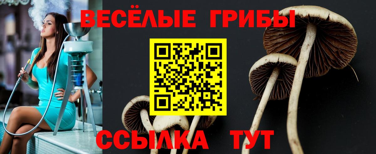 Псилоцибиновые грибы MAGIC MUSHROOMS  Вход с VPN  Янаул 